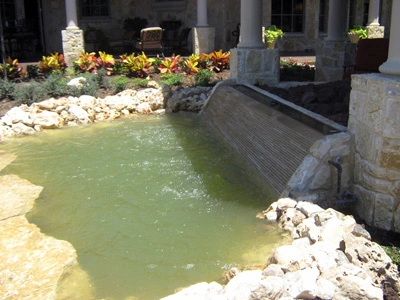 Garden landscape with plants and stone decorations